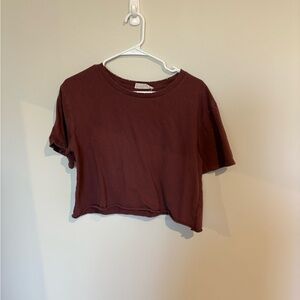 Trendy Brown Crop Top for Women